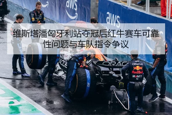 维斯塔潘匈牙利站夺冠后红牛赛车可靠性问题与车队指令争议